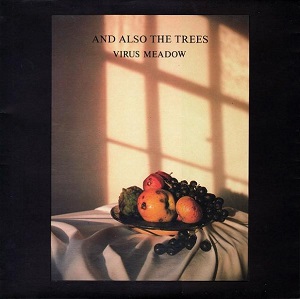 The Sounds of Experience #4 – “Virus Meadow” by And Also The Trees (1986)